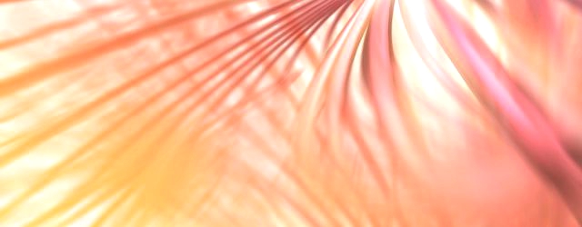 WEBサービスの存在を探るつもりなら